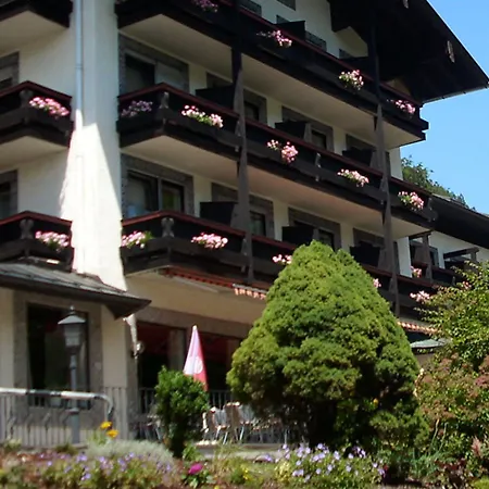 Hotel Alpen-hotel Seimler