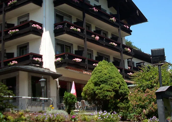 Otel Alpen-hotel Seimler