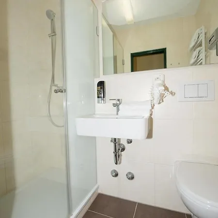 Alpen-hotel Seimler Hotel 3*
