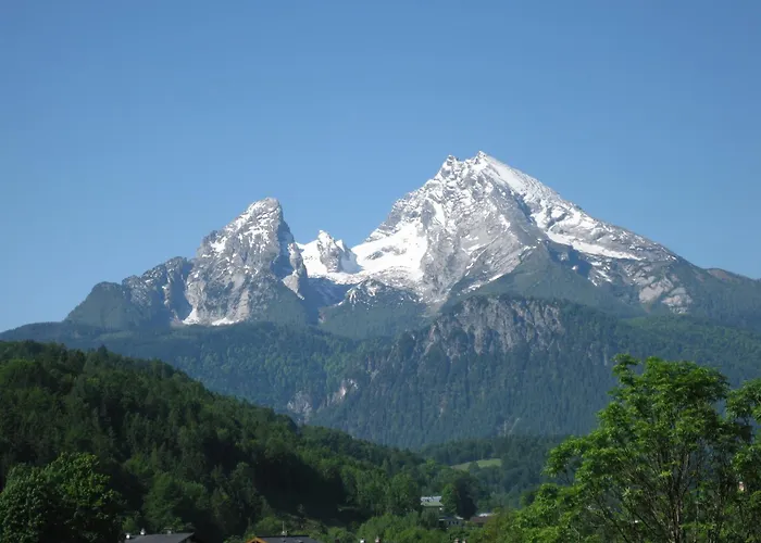 Отель Alpen-hotel Seimler